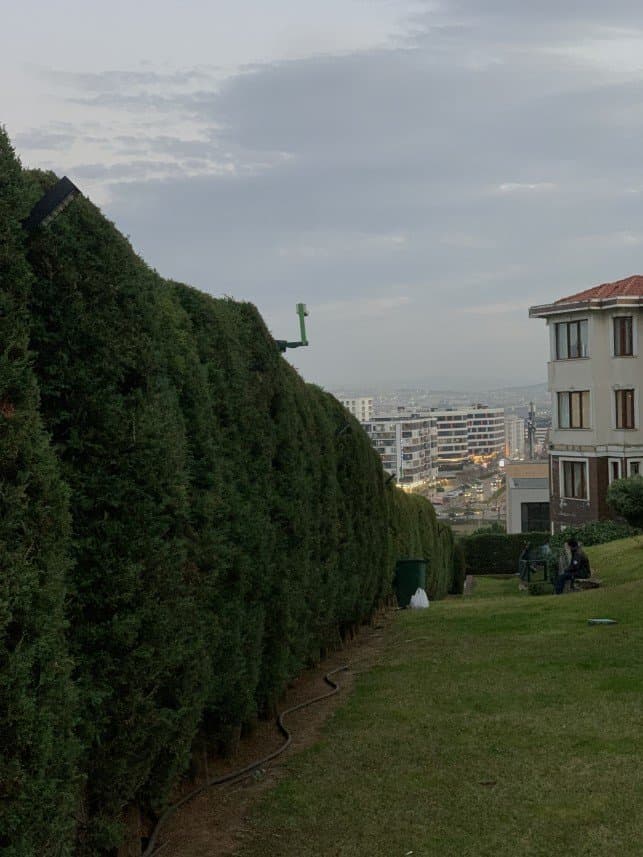 Mustafa Y. — çalışma 6