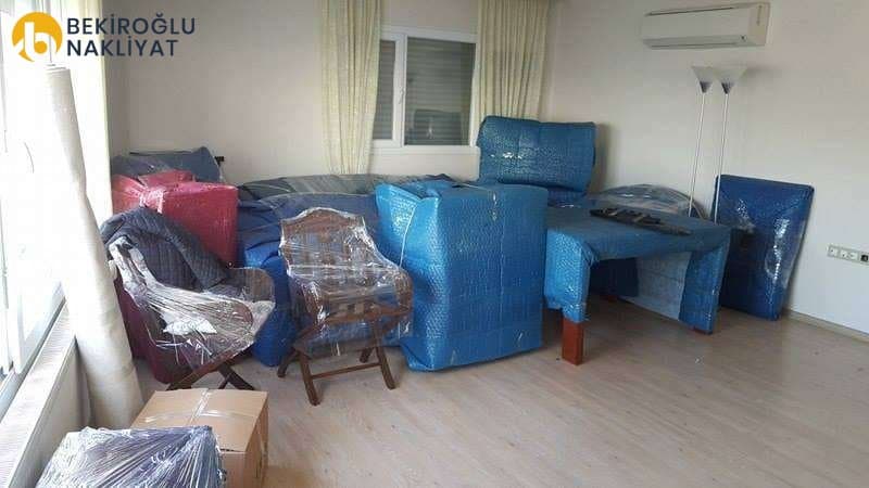 Bekiroğlu N. — çalışma 2