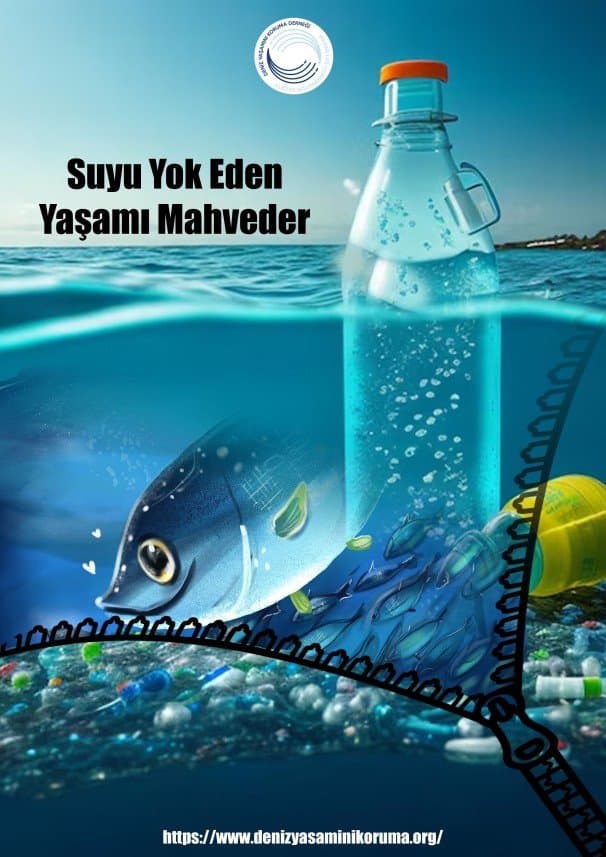 Naz P. — çalışma 2