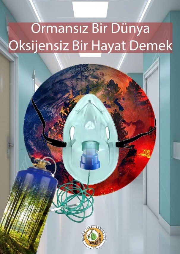 Naz P. — çalışma 3