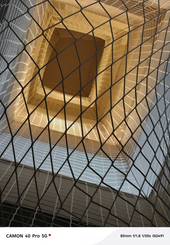 Net F. — çalışma 4