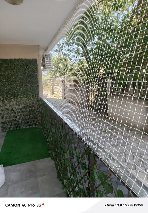 Net F. — çalışma 5