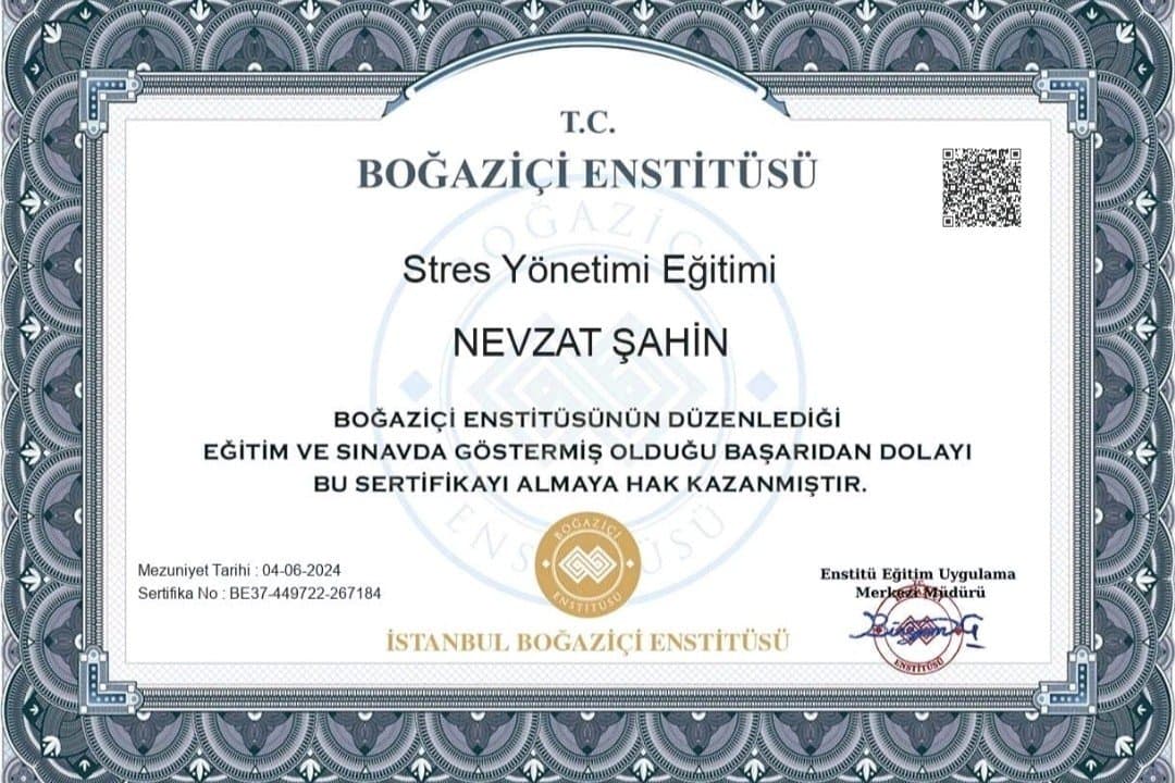 Nevzat Ş. — çalışma 3