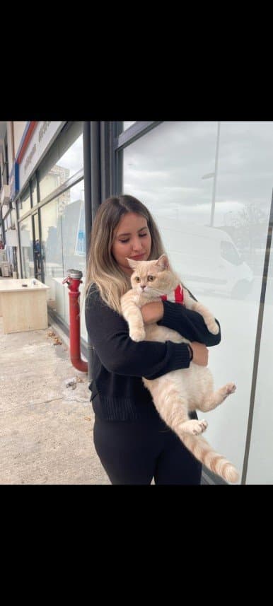 Nilay Ç. — çalışma 1