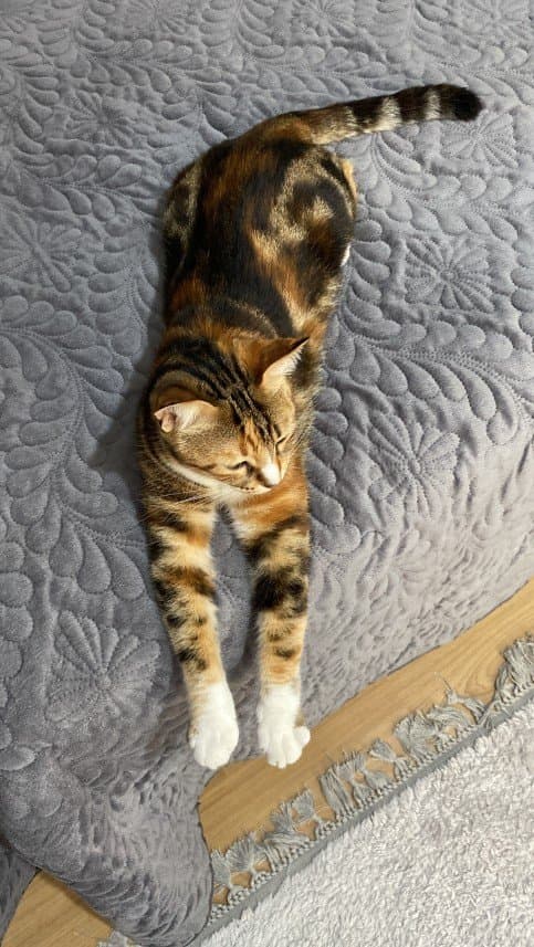 Nilüfer K. — çalışma 7