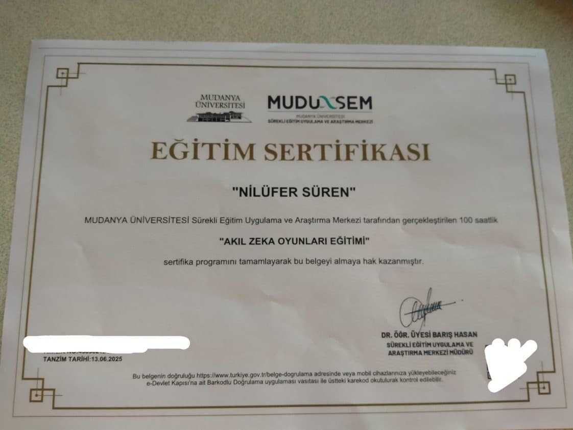 Nilüfer T. — çalışma 1