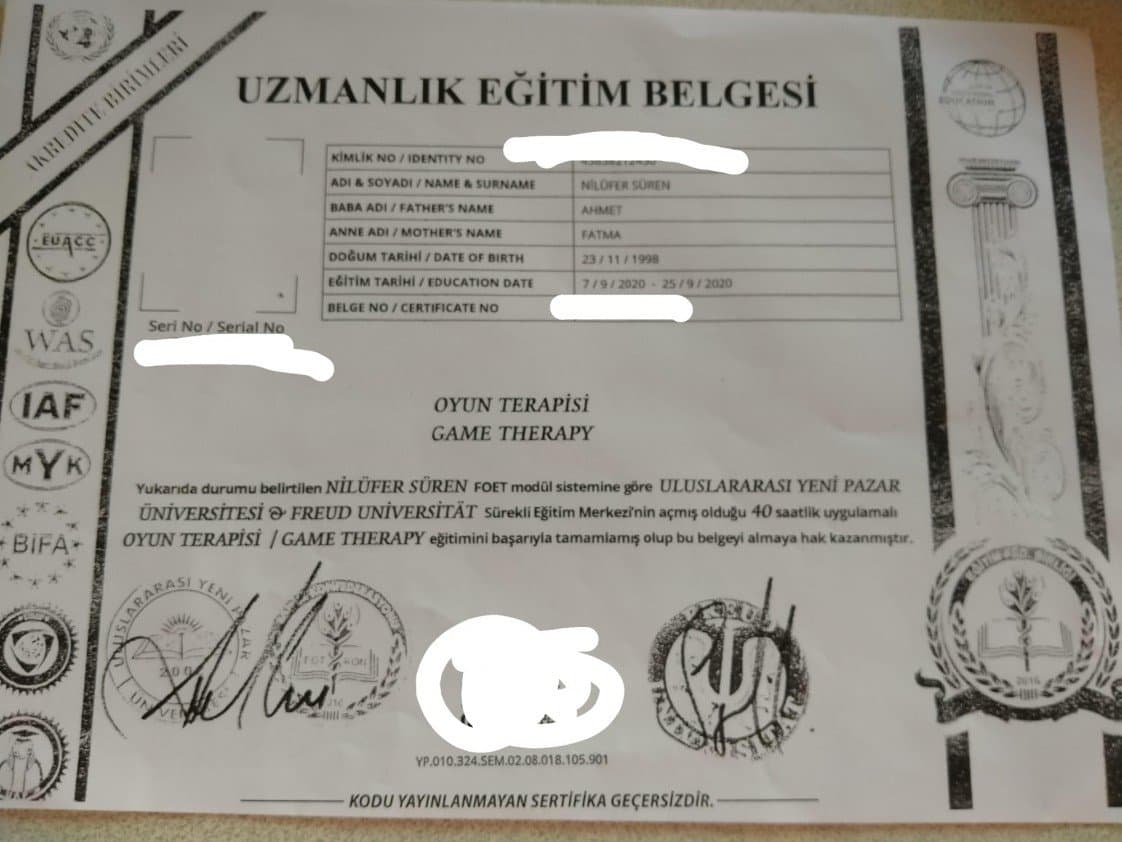 Nilüfer T. — çalışma 2