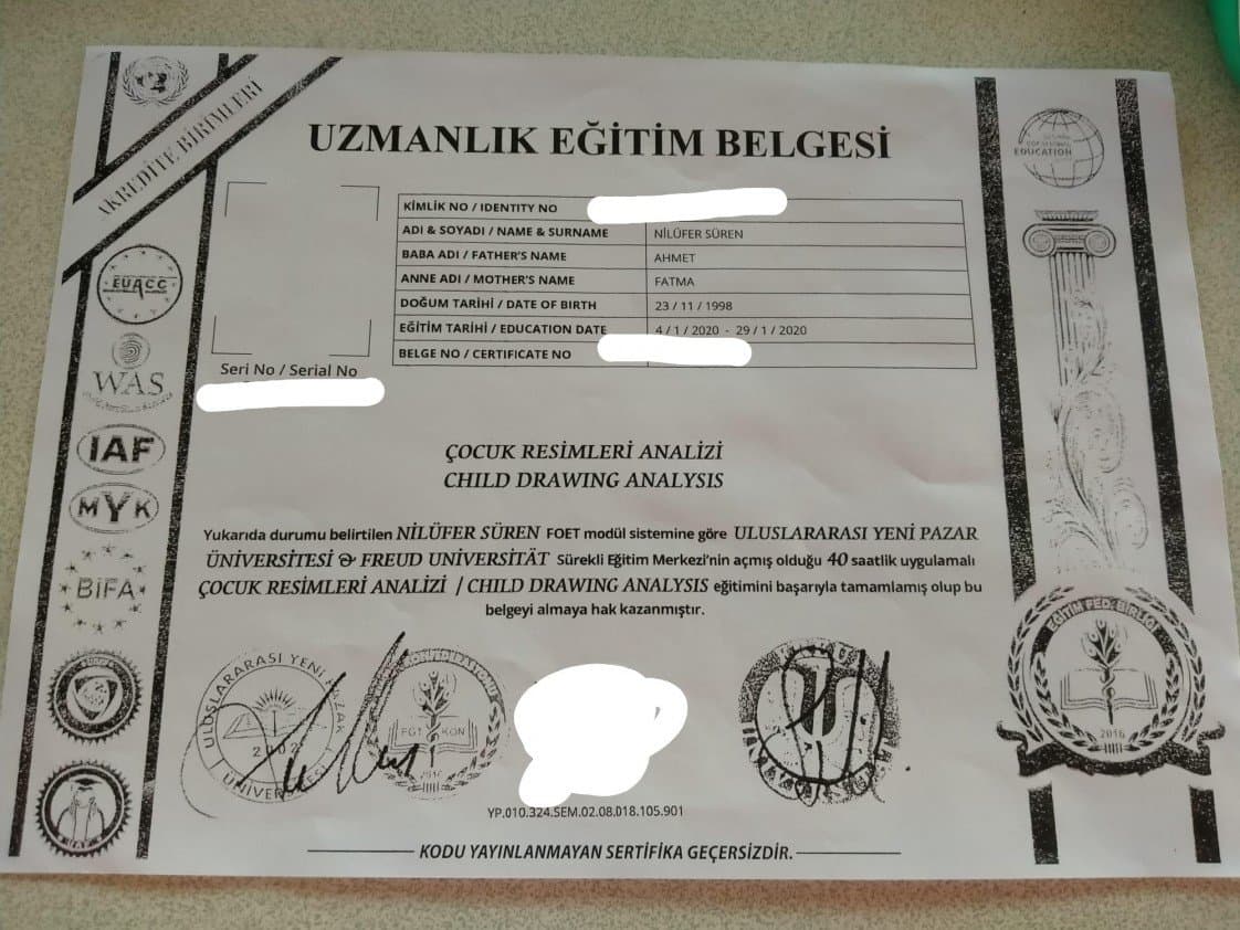 Nilüfer T. — çalışma 3