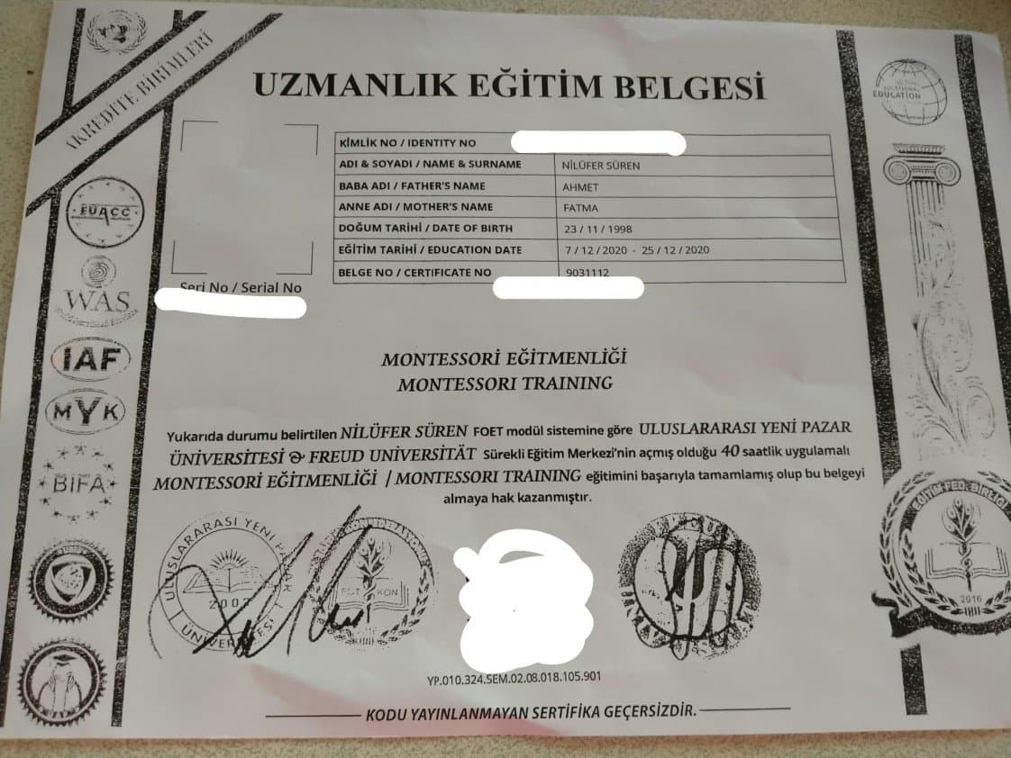 Nilüfer T. — çalışma 4