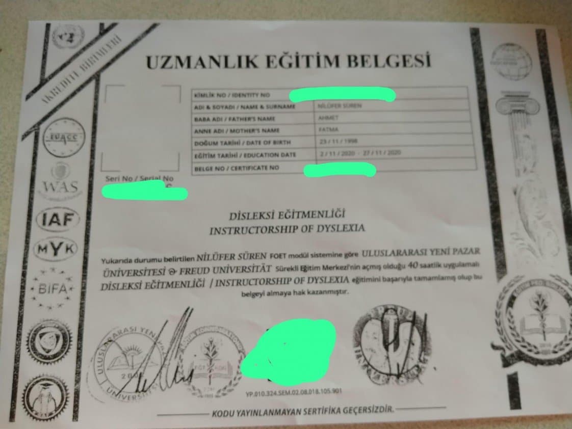 Nilüfer T. — çalışma 5