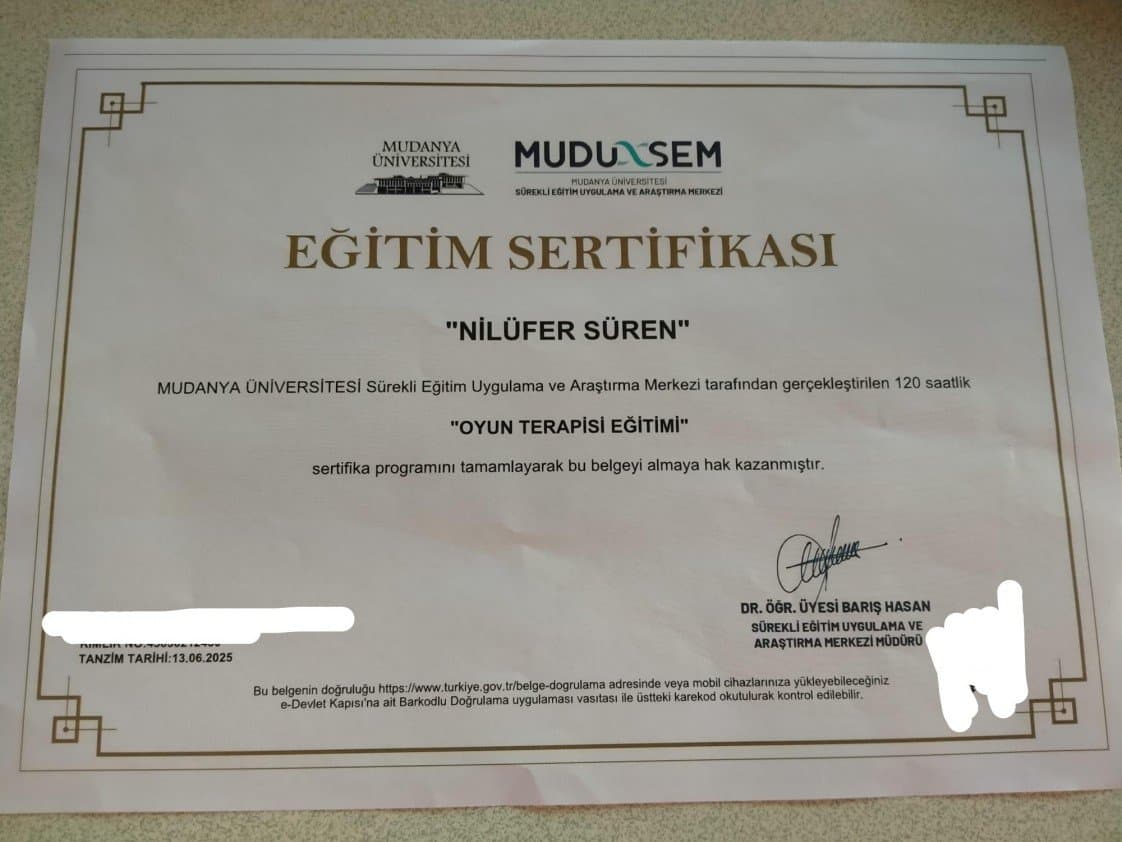 Nilüfer T. — çalışma 6
