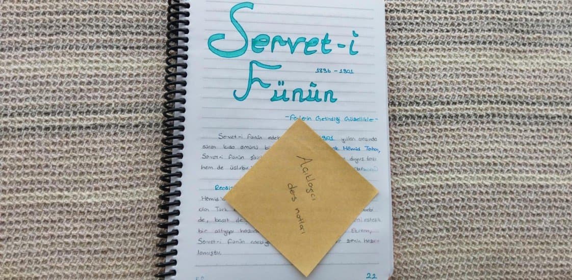 Nisa K. — çalışma 4
