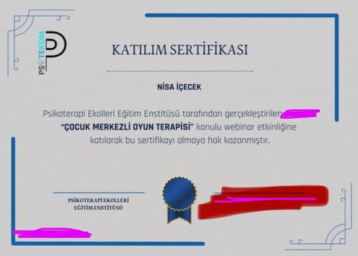 Nisa İ. — çalışma 1