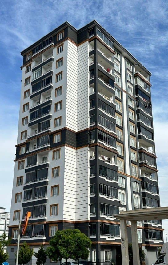 Nova Y. — çalışma 2