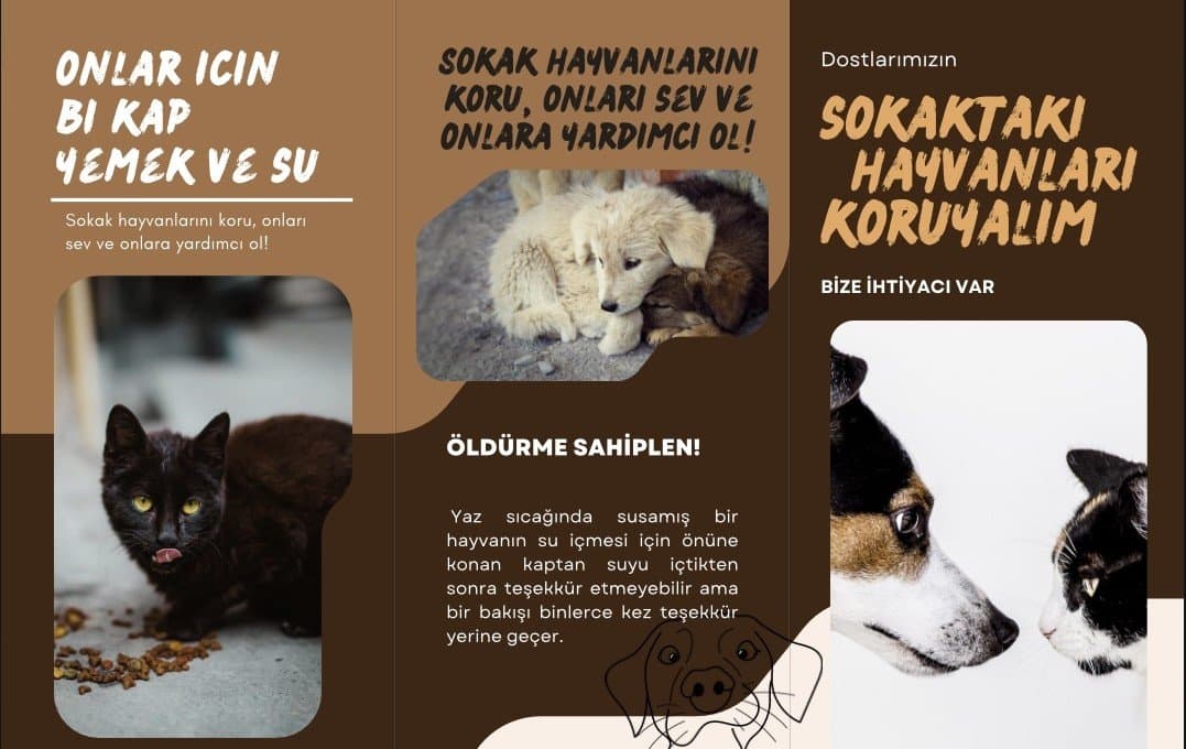 Nurcan U. — çalışma 2