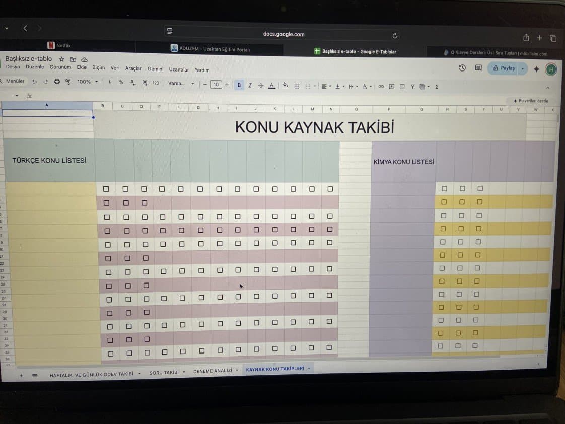 Hedli Ö. — çalışma 2