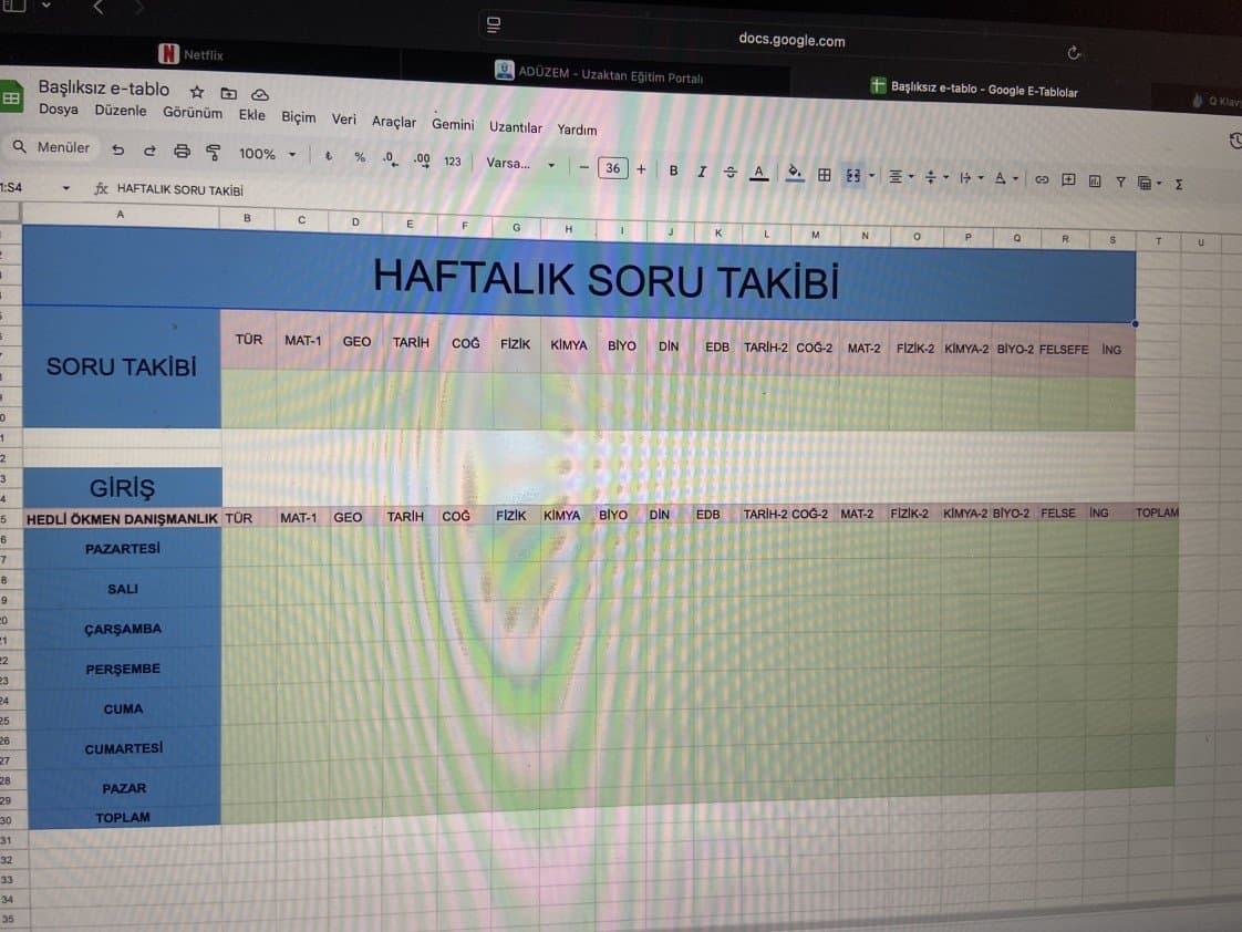 Hedli Ö. — çalışma 3