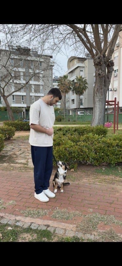 Ömer A. — çalışma 1