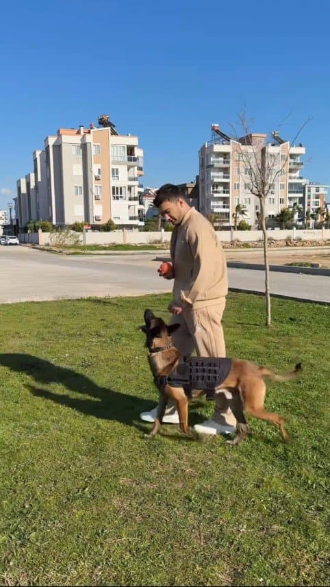 Ömer A. — çalışma 2