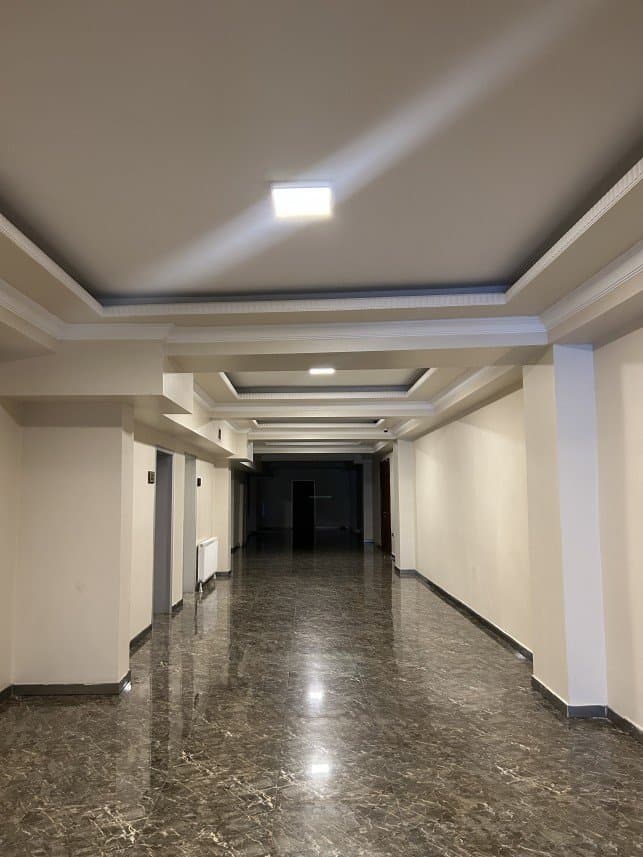 Şenkaya G. — çalışma 1