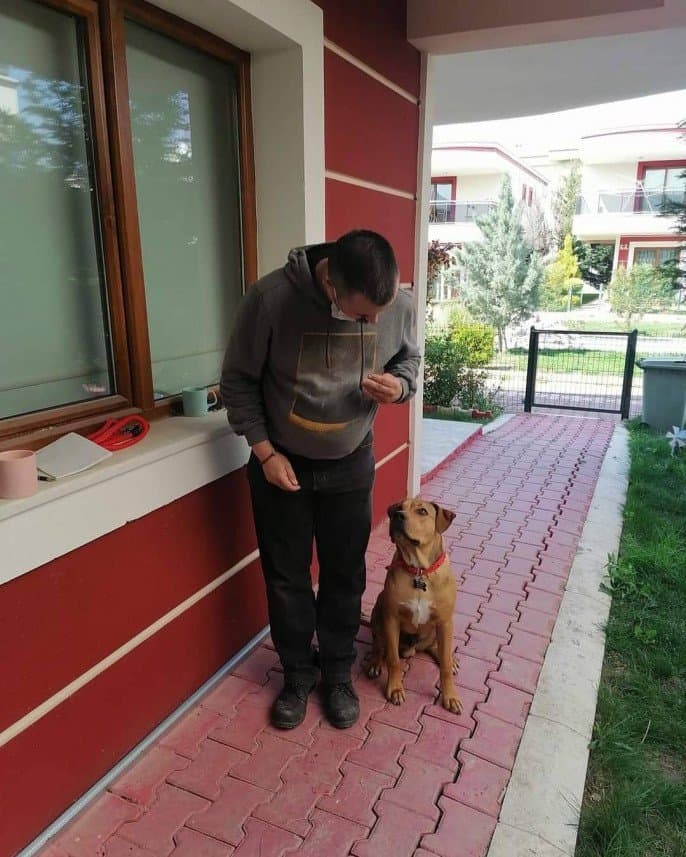 Önder A. — çalışma 8