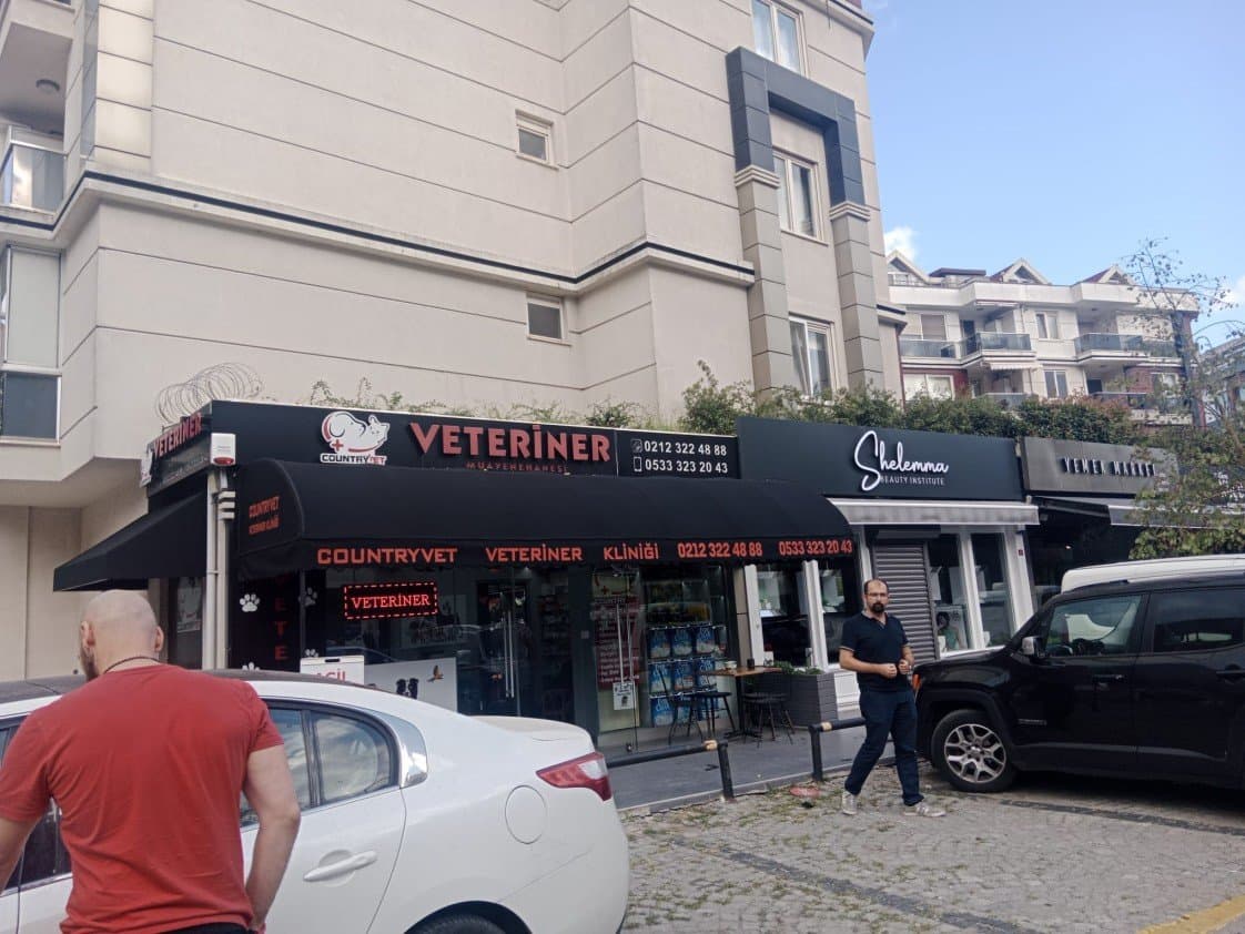 Osman Y. — çalışma 3