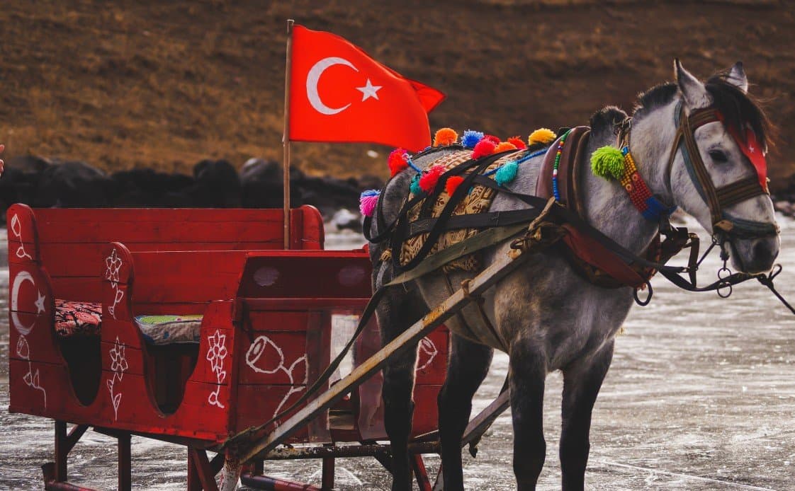 Ozan S. — çalışma 4