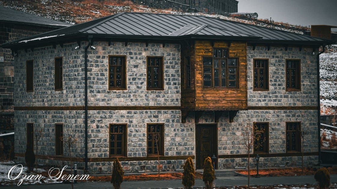 Ozan S. — çalışma 5