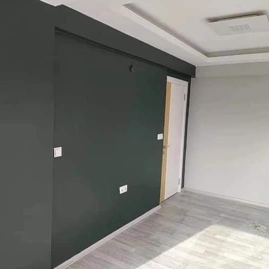 Özcan A. — çalışma 2