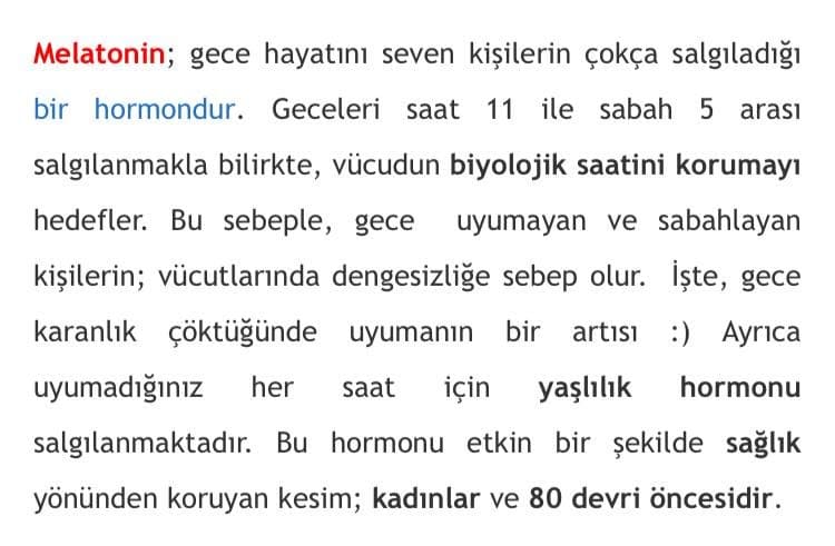 Özden Ö. — çalışma 2