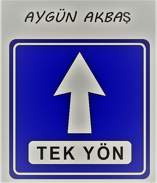 Aygün A. — çalışma 1