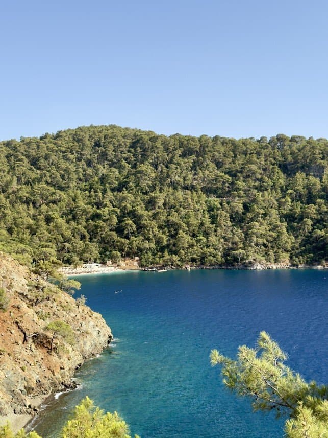 Özge K. — çalışma 1