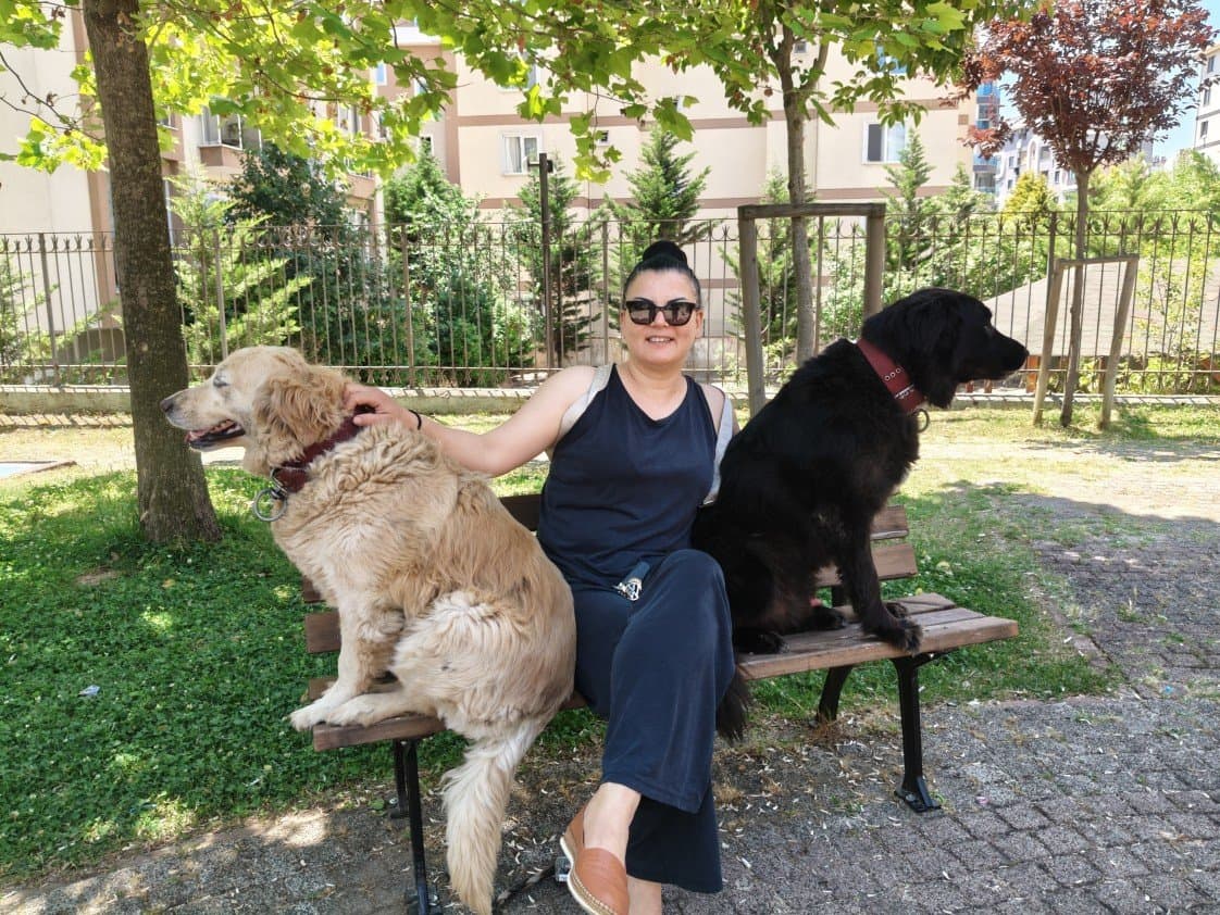 Özgül A. — çalışma 2