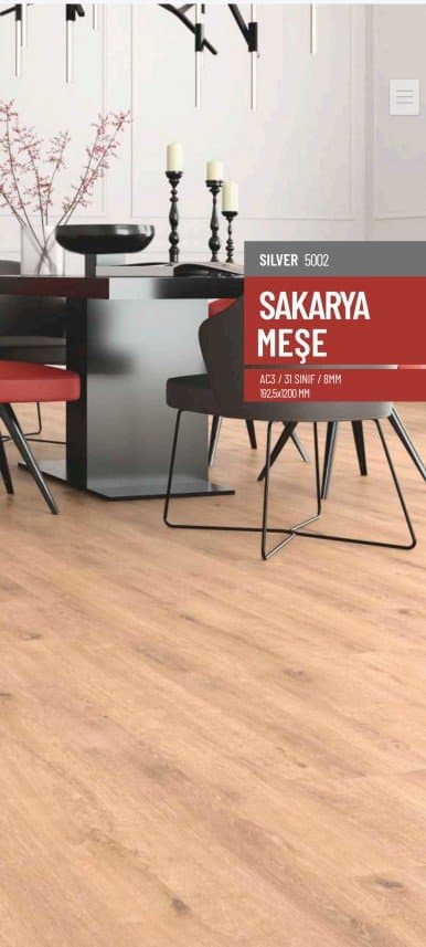 Parkeci M. — çalışma 8