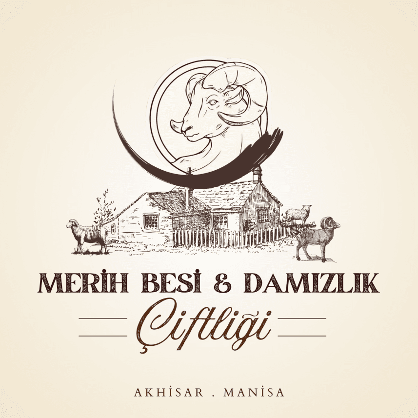 Pınar O. — çalışma 1