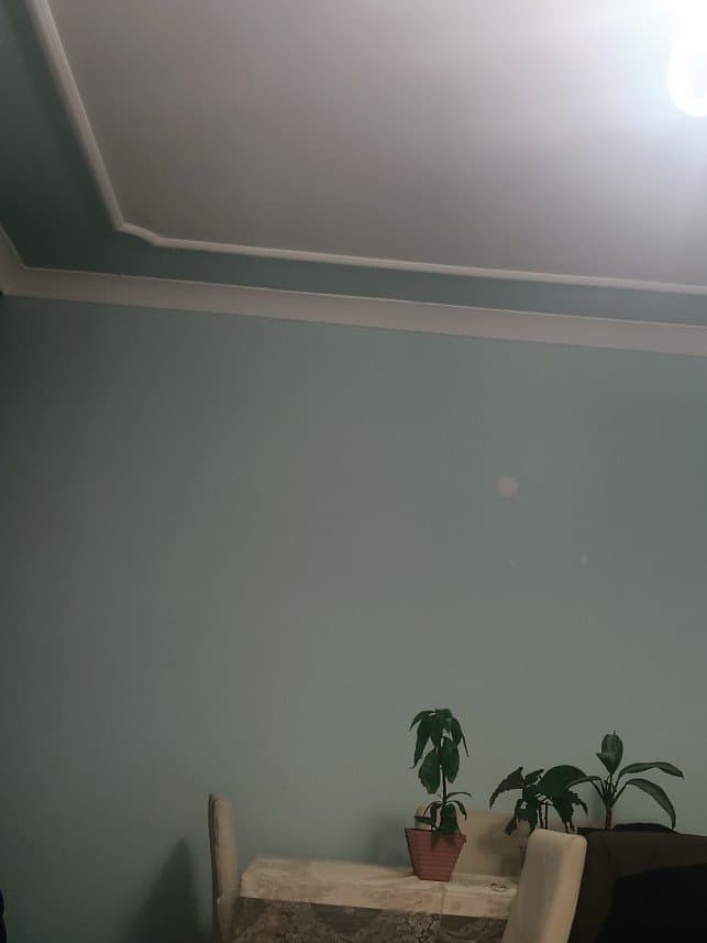 Pusat Z. — çalışma 5