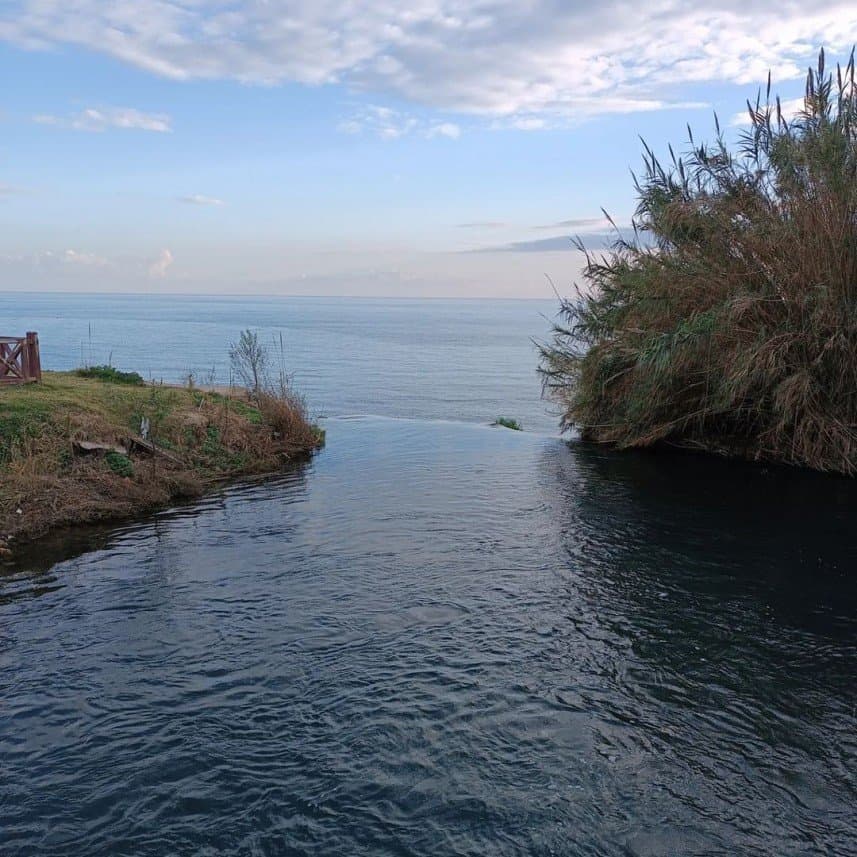Rafet Y. — çalışma 8