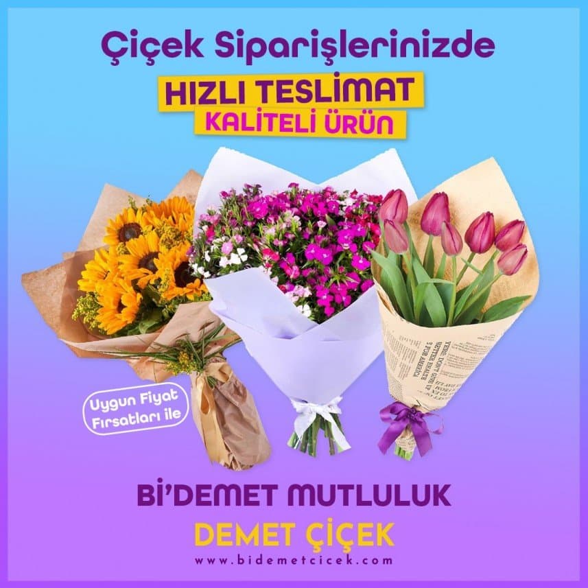 Raşit B. — çalışma 5