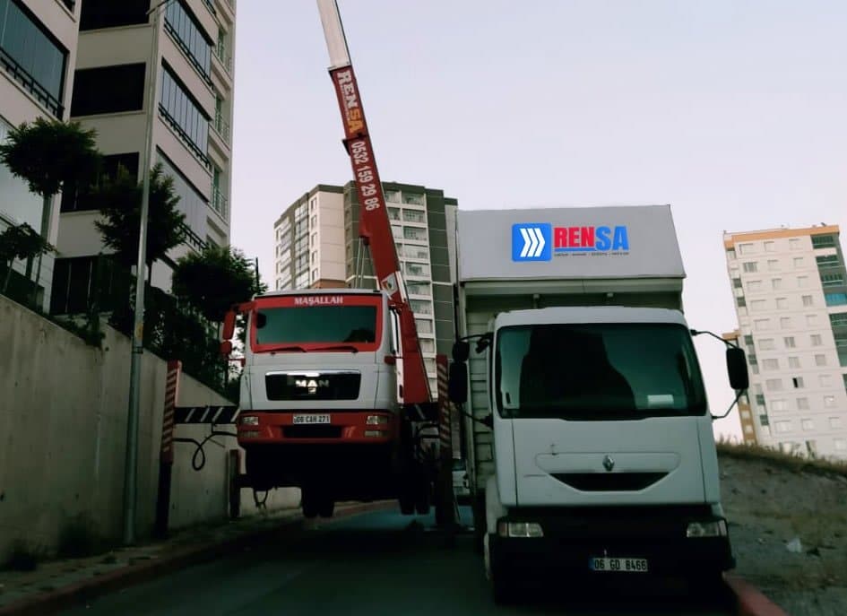 Rensa N. — çalışma 5