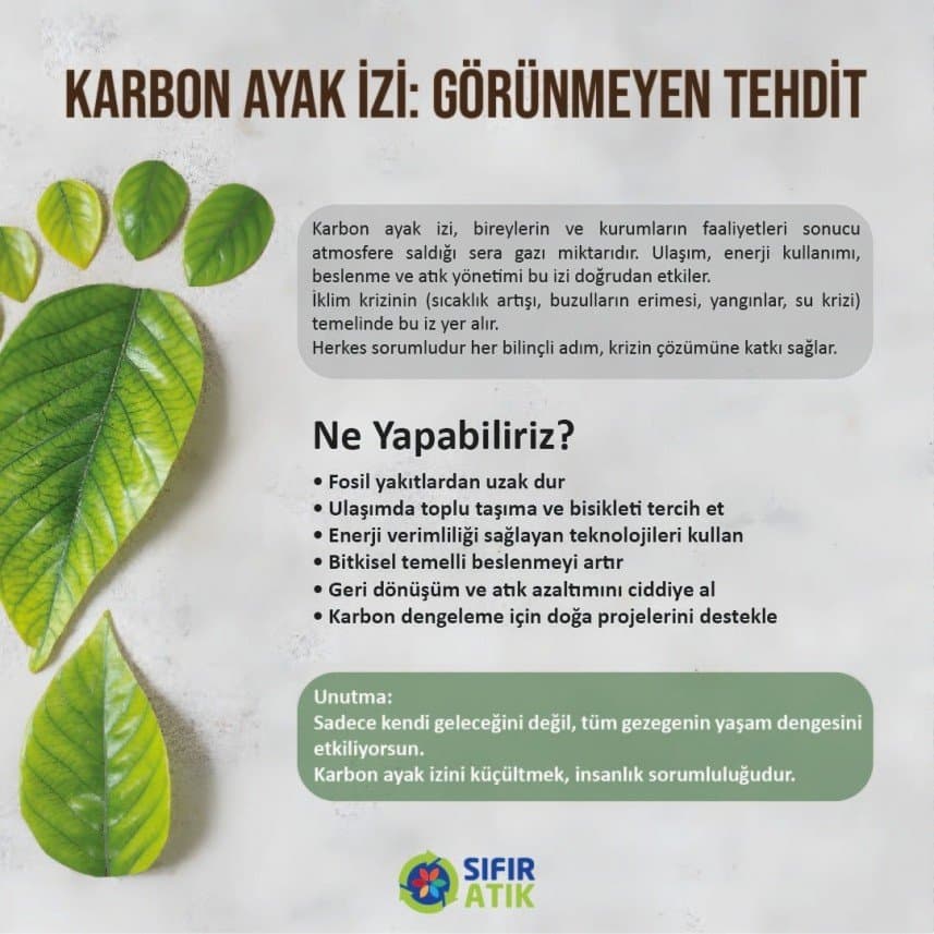 Rojin B. — çalışma 4