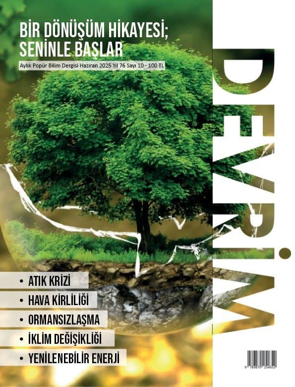 Rojin B. — çalışma 5