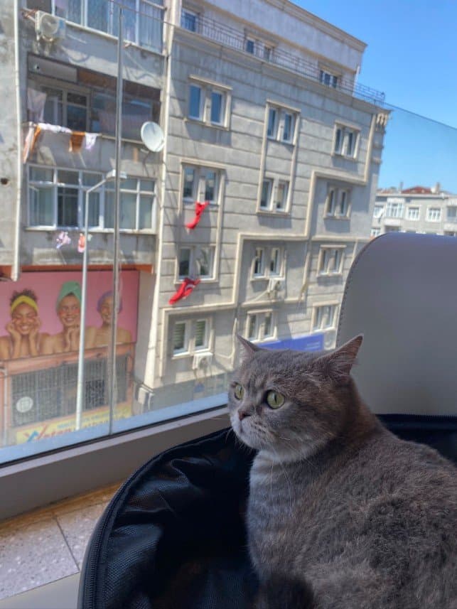 Rüya K. — çalışma 3