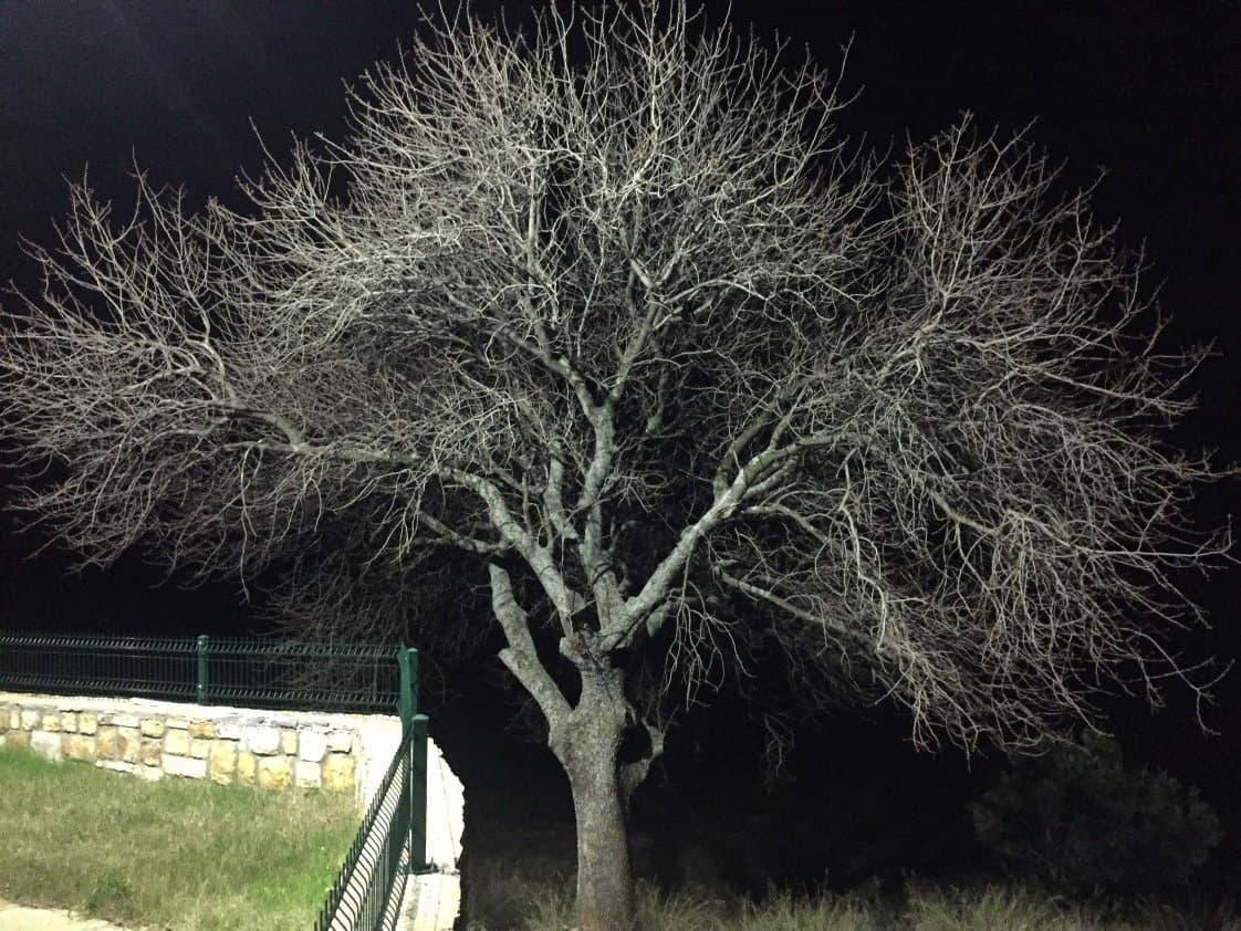Sabahattin K. — çalışma 1