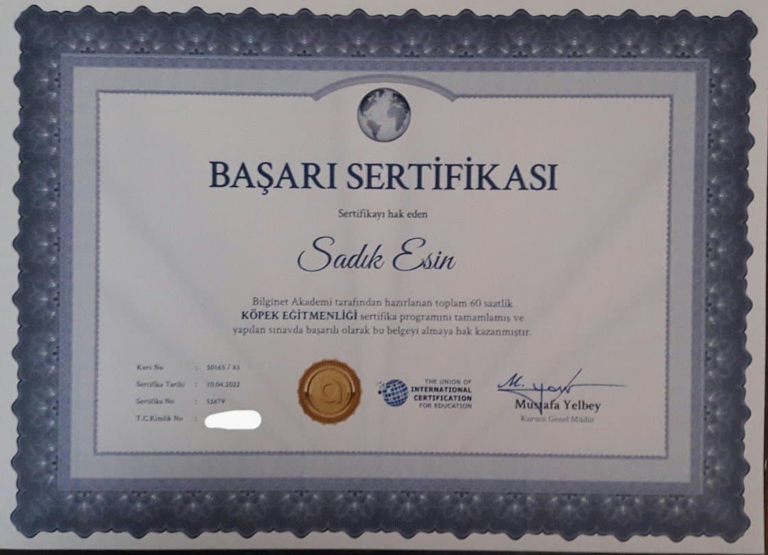 Sadık E. — çalışma 8