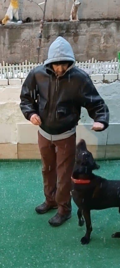 Sadık E. — çalışma 6