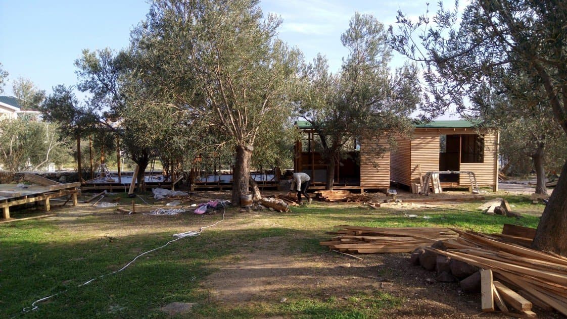 Said P. — çalışma 5