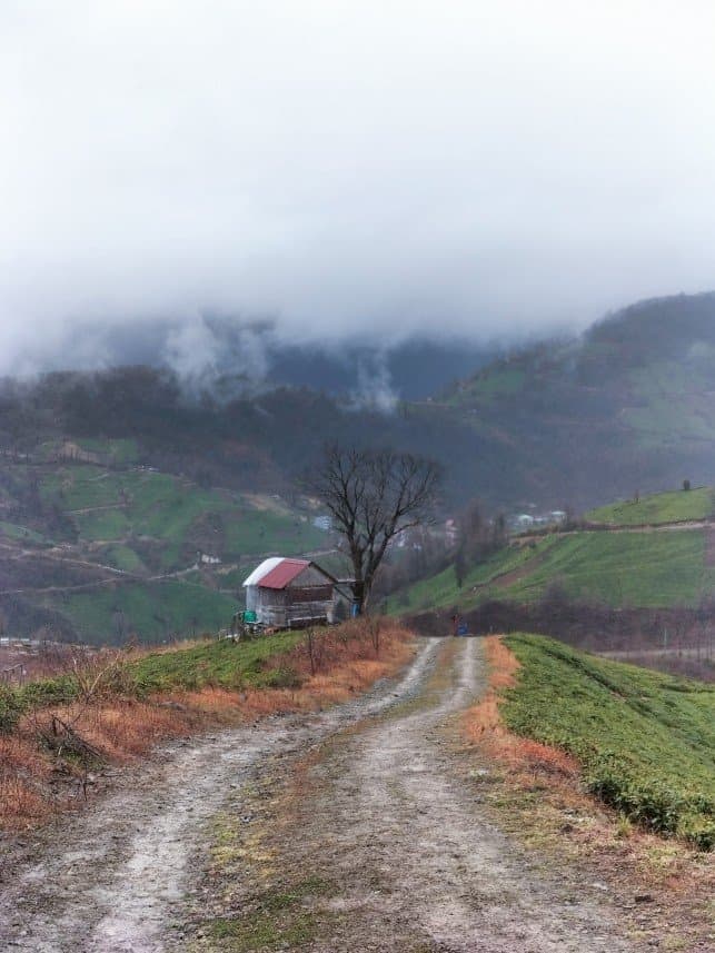 Salih Ö. — çalışma 2