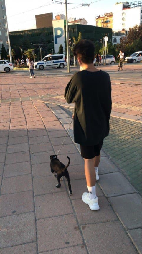 Samet Ü. — çalışma 4