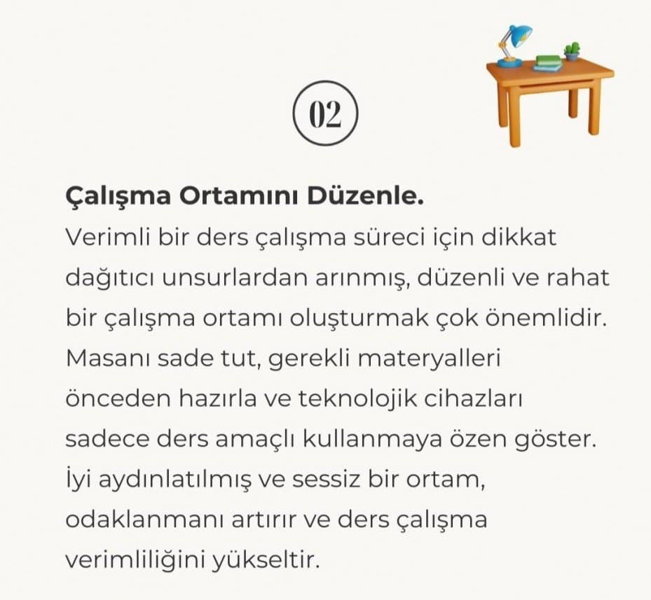 Seda G. — çalışma 2