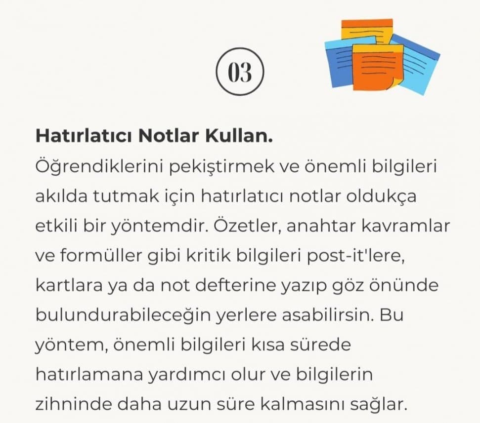 Seda G. — çalışma 4